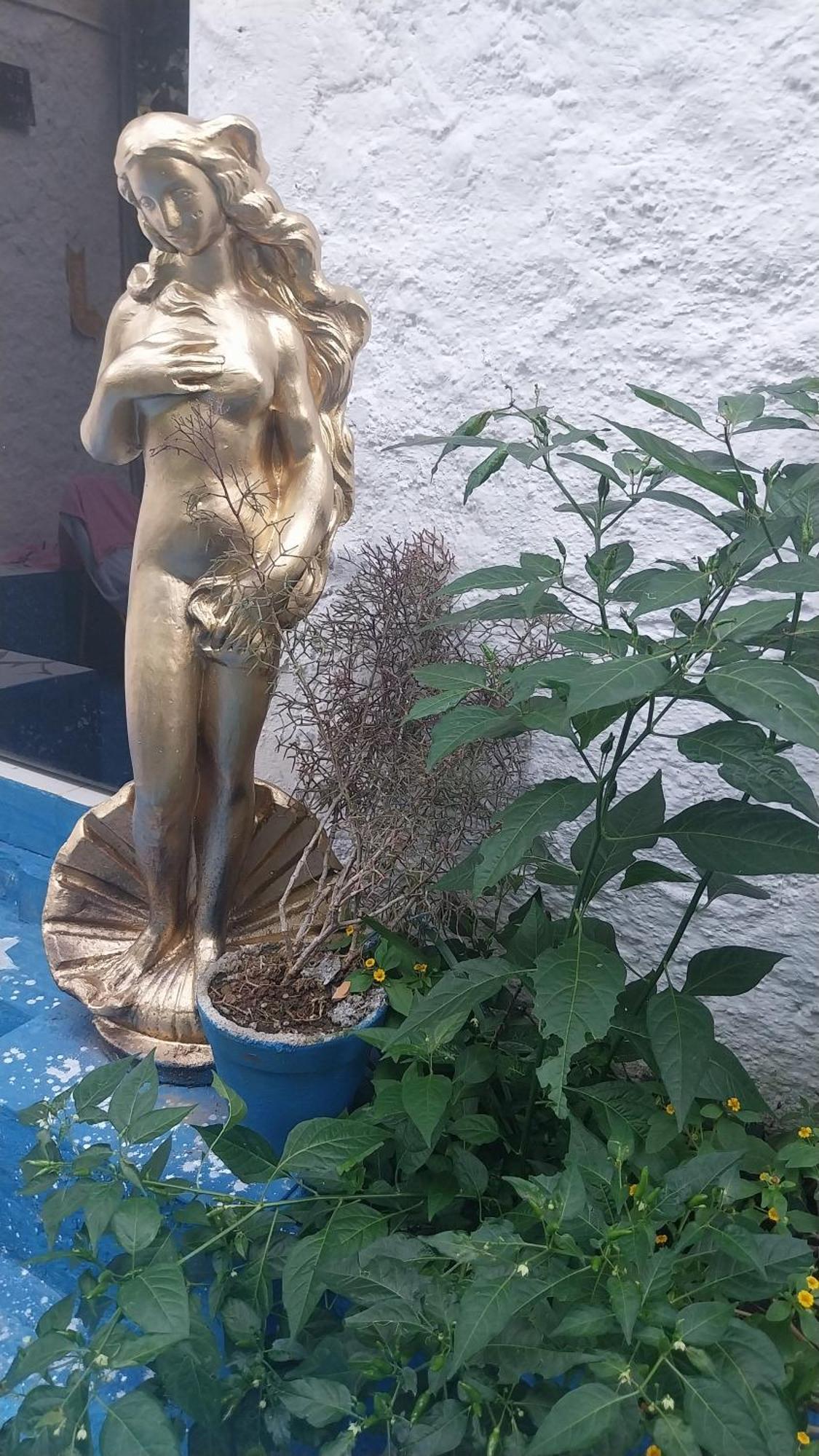 Pousada Das Estrelas No Centro De Conservatória Esterno foto